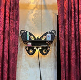 Butterfly Design Wooden Shelf With Back Light
